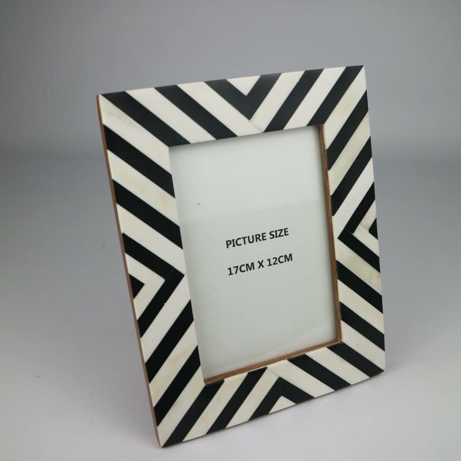 Bone Frame Black and White Sunray