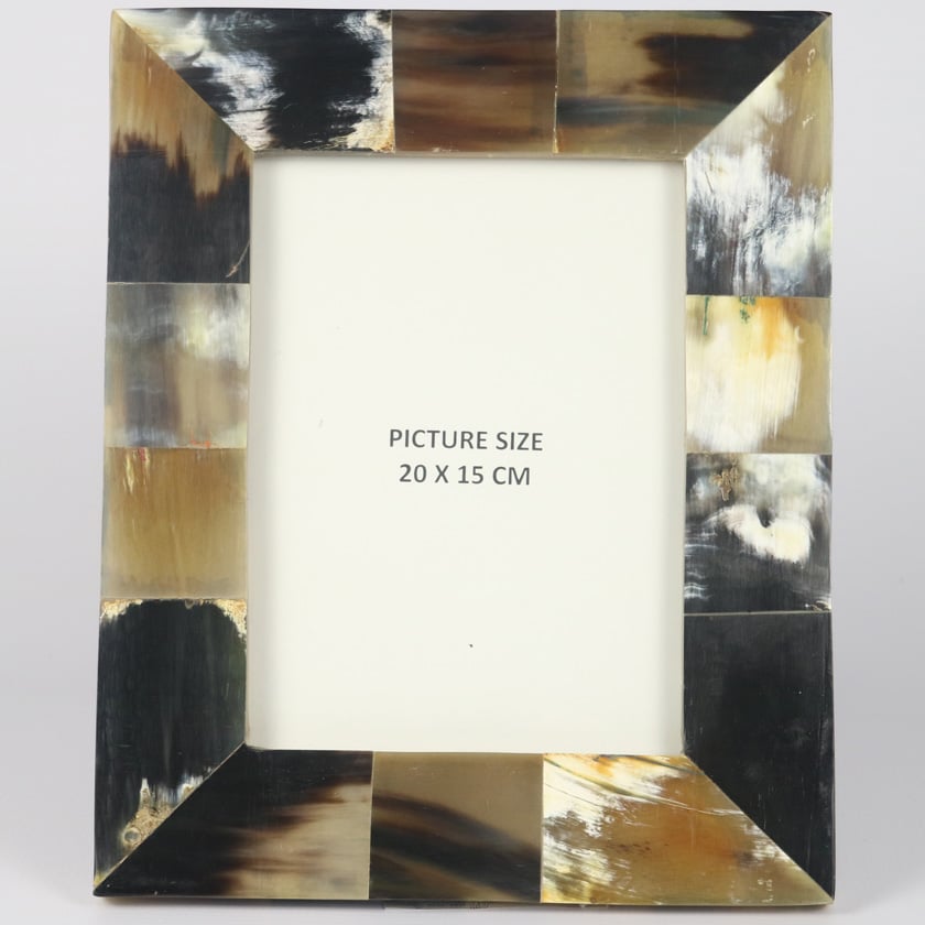 Alternative view of Horn Frame Inlaid