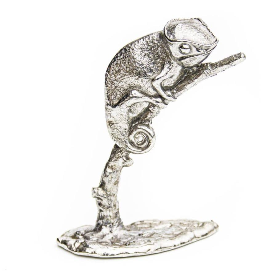 Chameleon on Branch (Large)