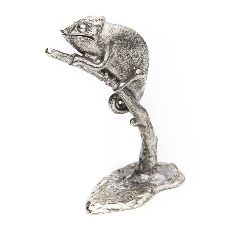 Alternative view of Chameleon on Branch (Large)