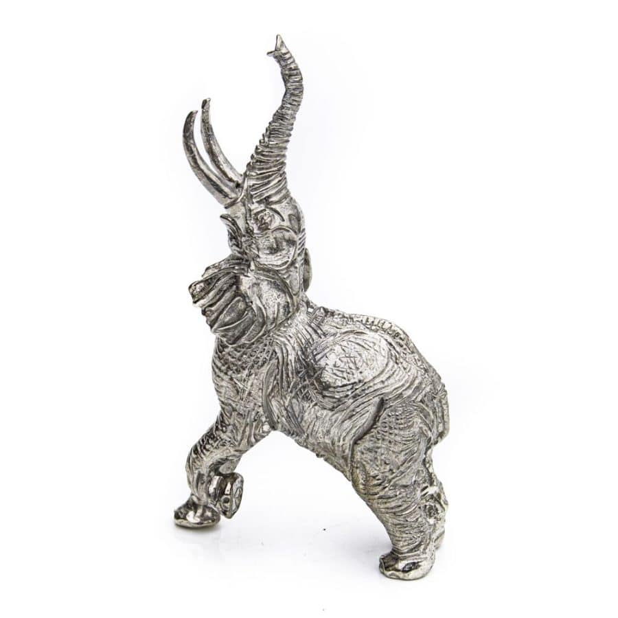 Alternative view of Elephant Reaching