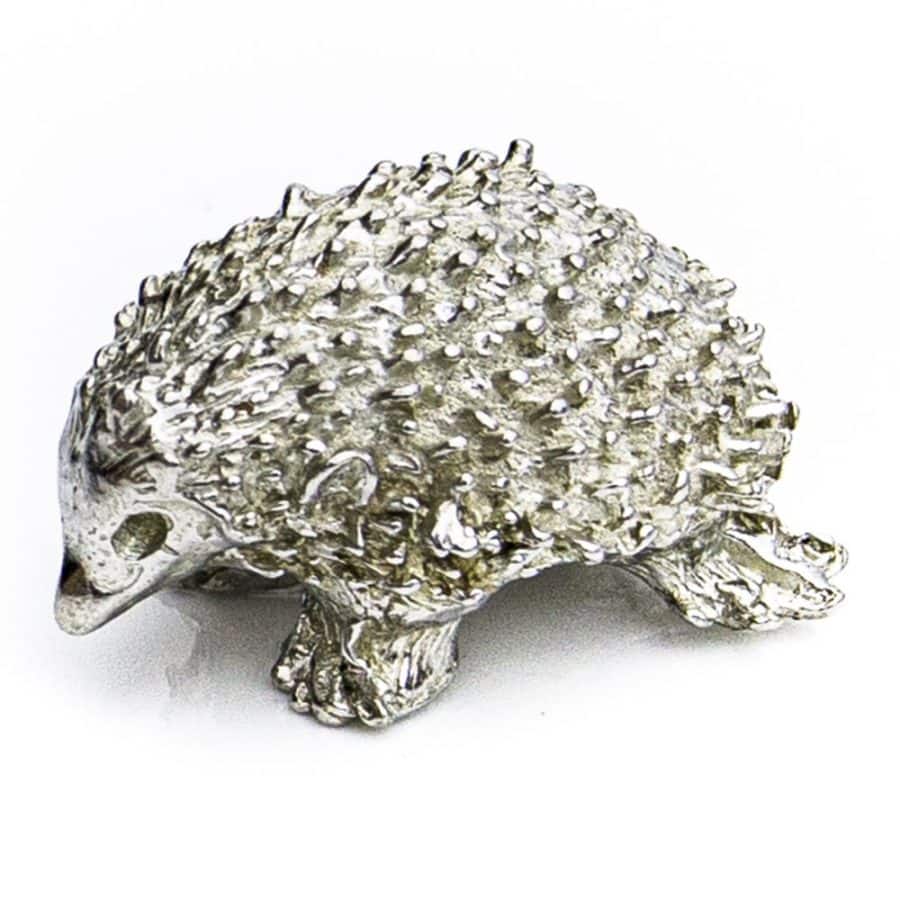 Alternative view of Hedgehog