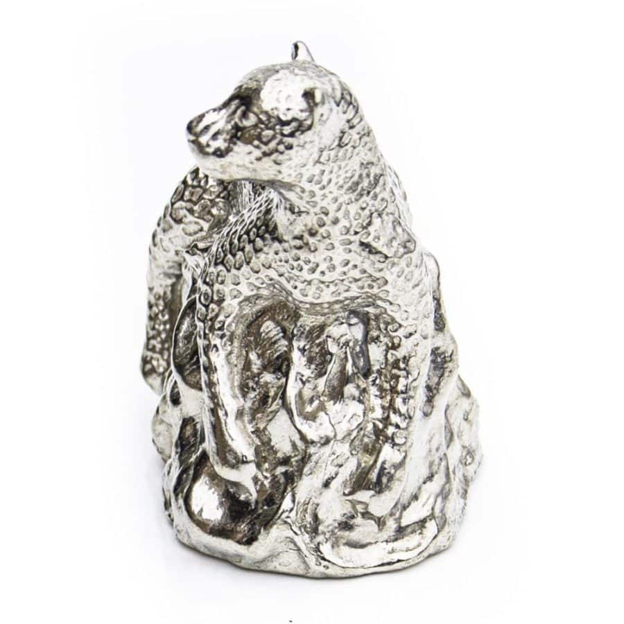 Alternative view of Leopard on Rock