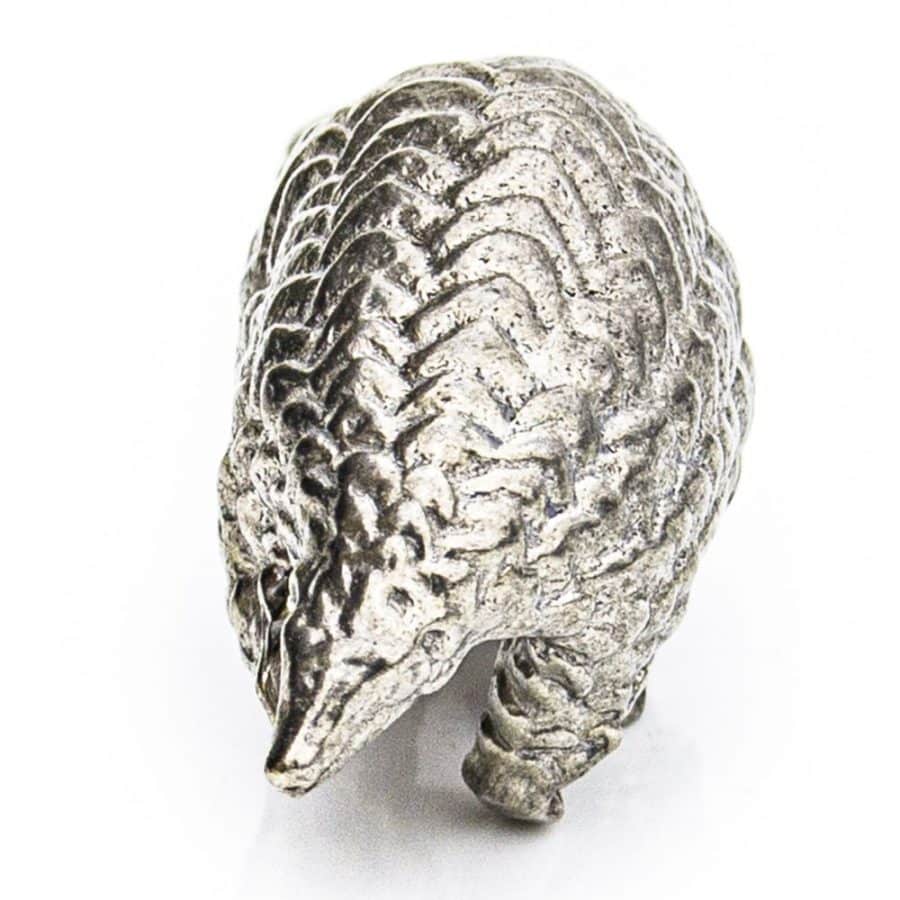 Alternative view of Pangolin Walking