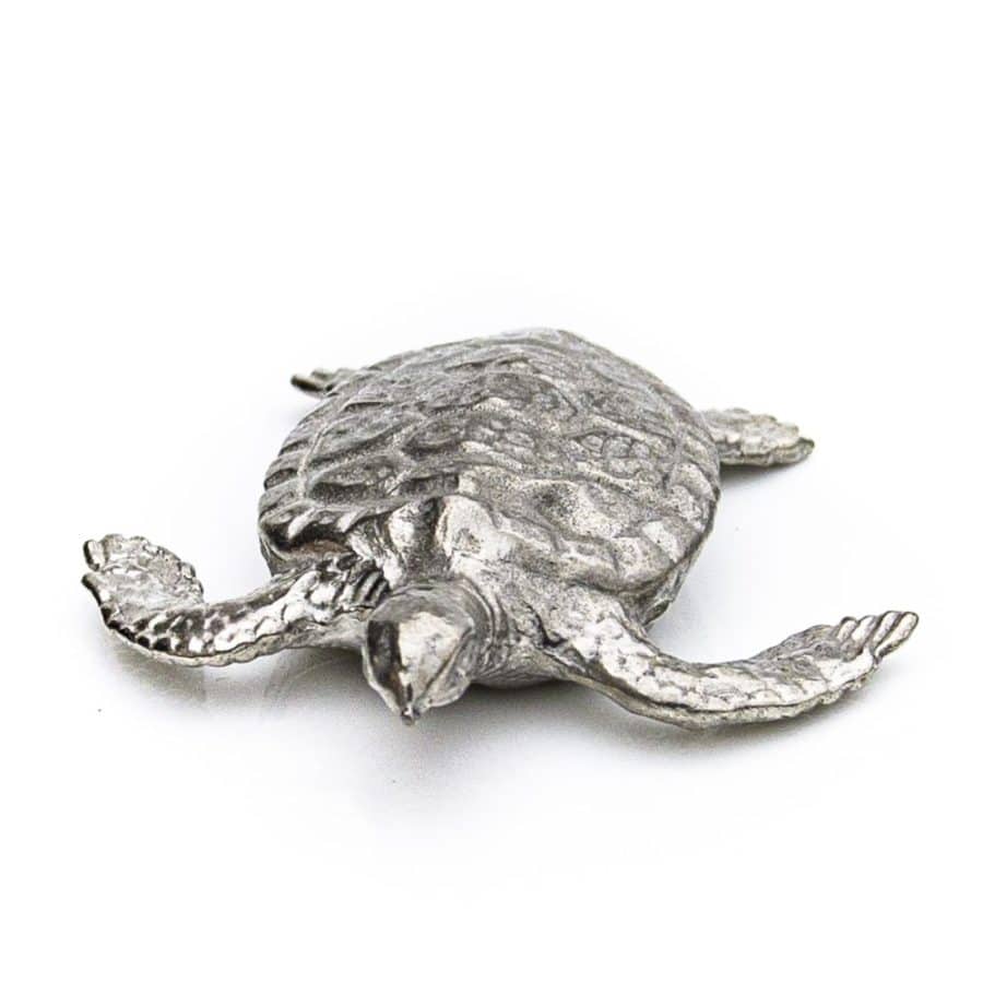 Alternative view of Sea Turtle