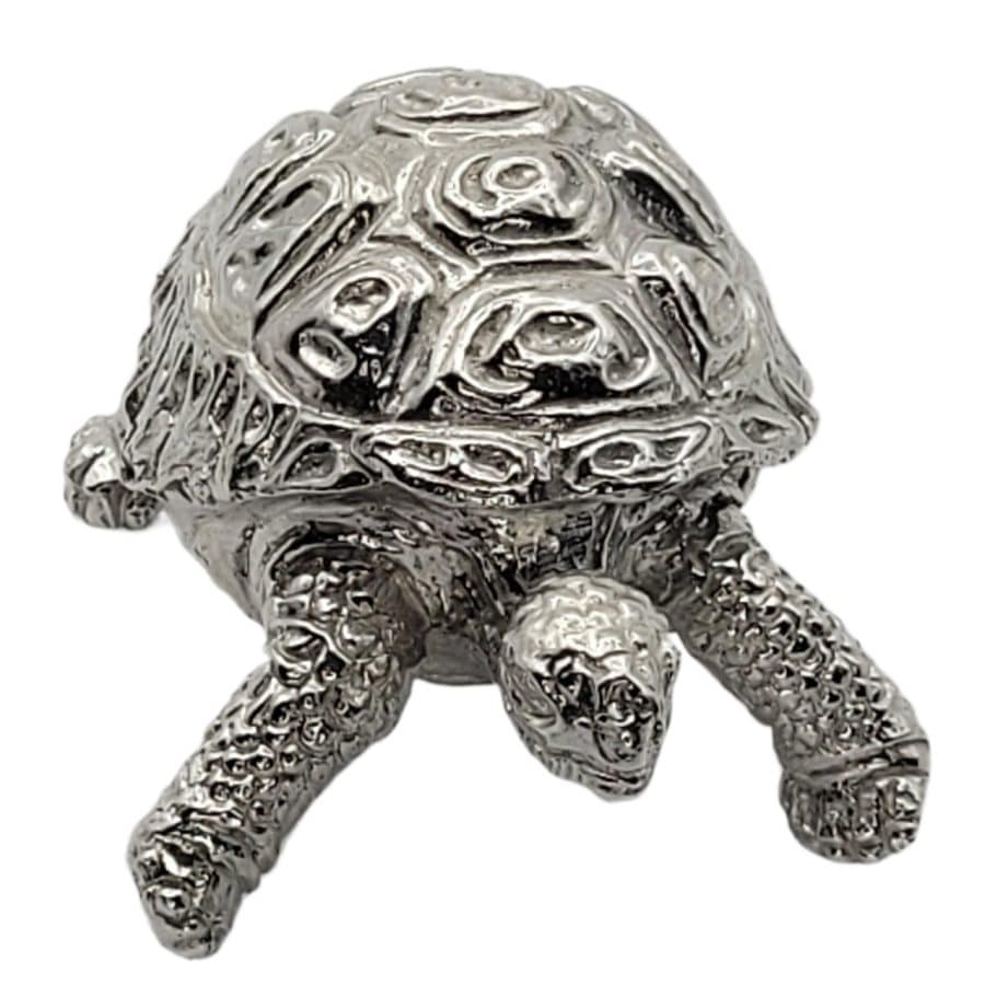 Alternative view of Leopard Tortoise