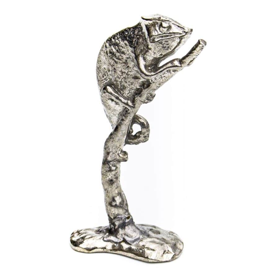 Alternative view of Chameleon on Branch (Small)