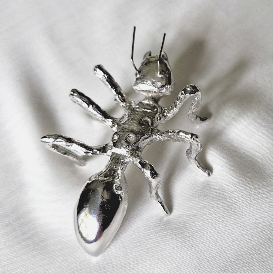 Alternative view of Leaf Cutter Ant