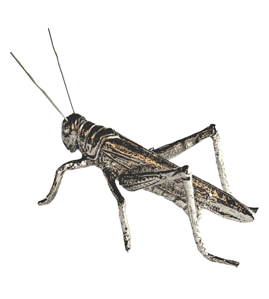 Alternative view of Grasshopper