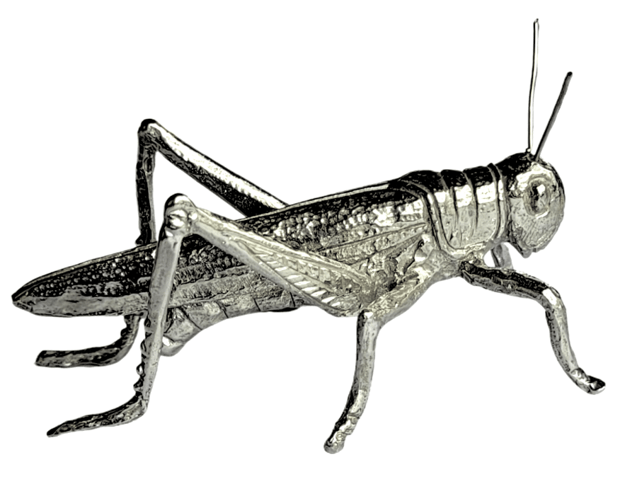 Grasshopper