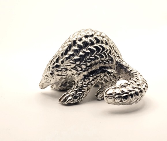 Pangolin Curled